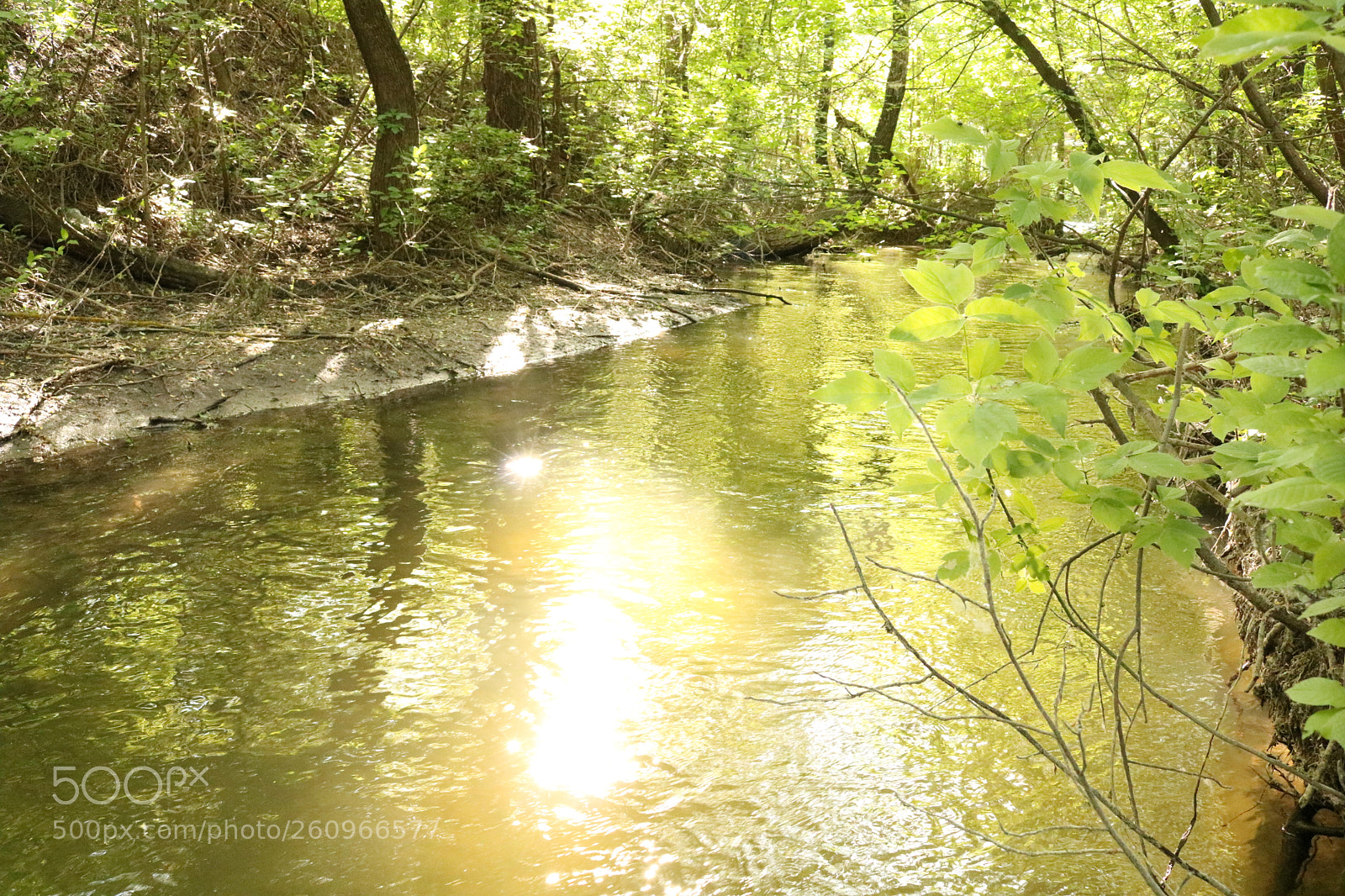 Canon EOS 750D (EOS Rebel T6i / EOS Kiss X8i) sample photo. Spring creek photography