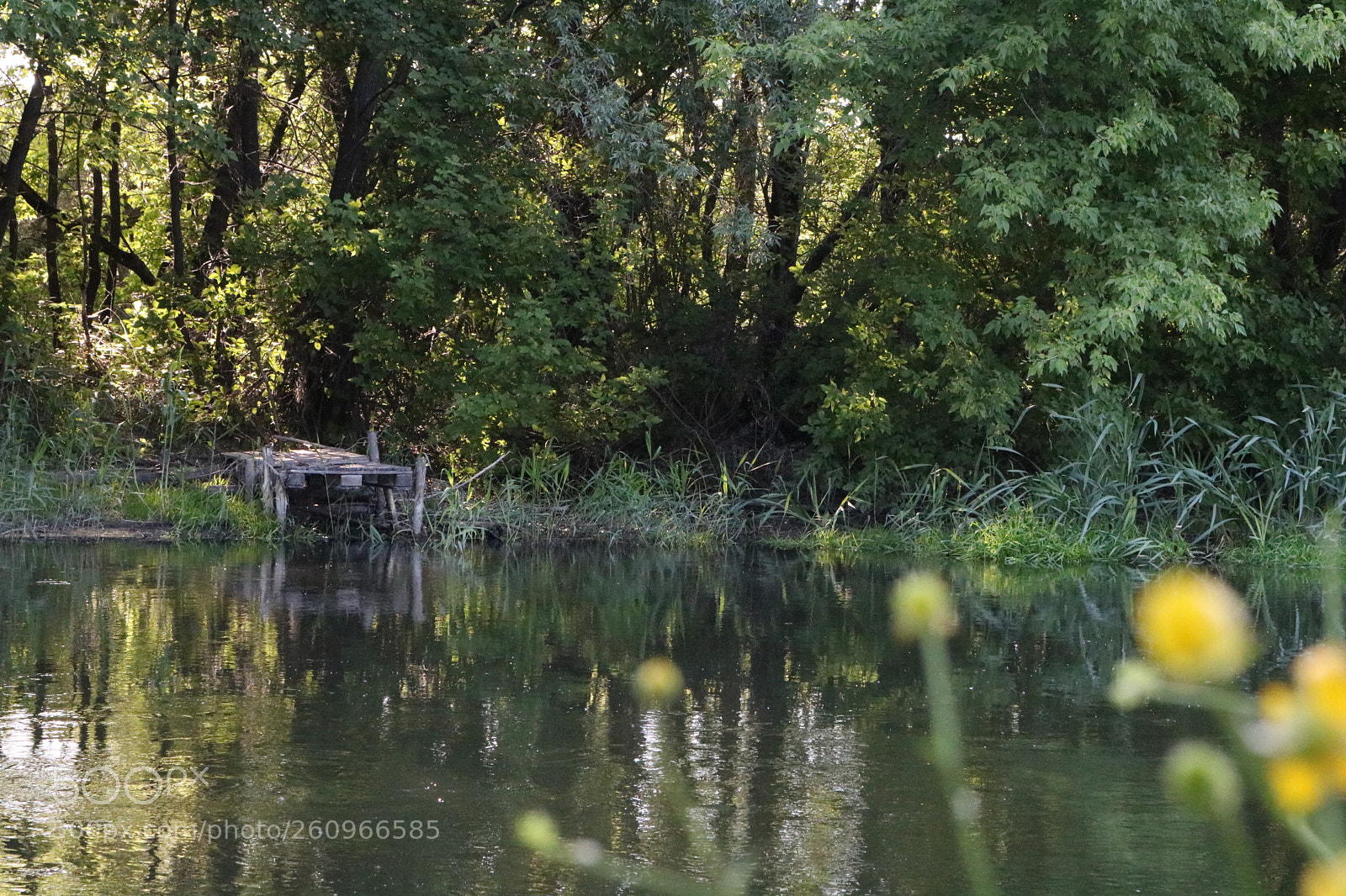 Canon EOS 750D (EOS Rebel T6i / EOS Kiss X8i) sample photo. An old bridge by photography