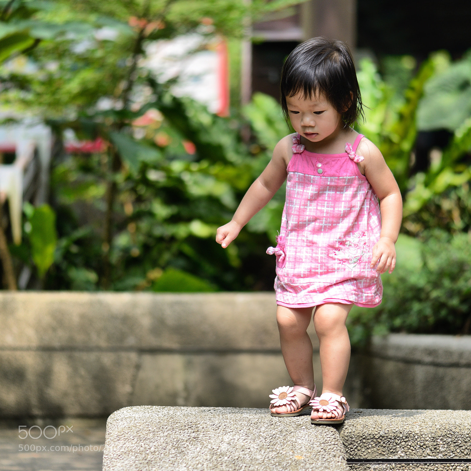 Nikon D800 sample photo. Untitled photography
