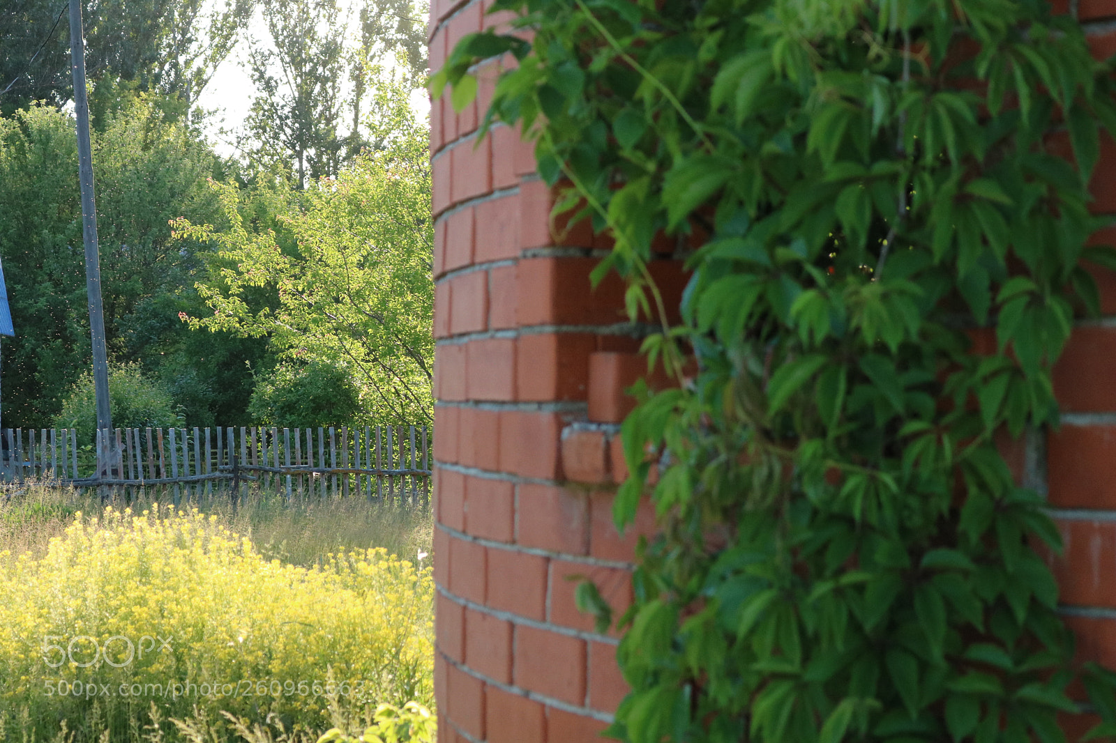 Canon EOS 750D (EOS Rebel T6i / EOS Kiss X8i) sample photo. Abandoned house photography