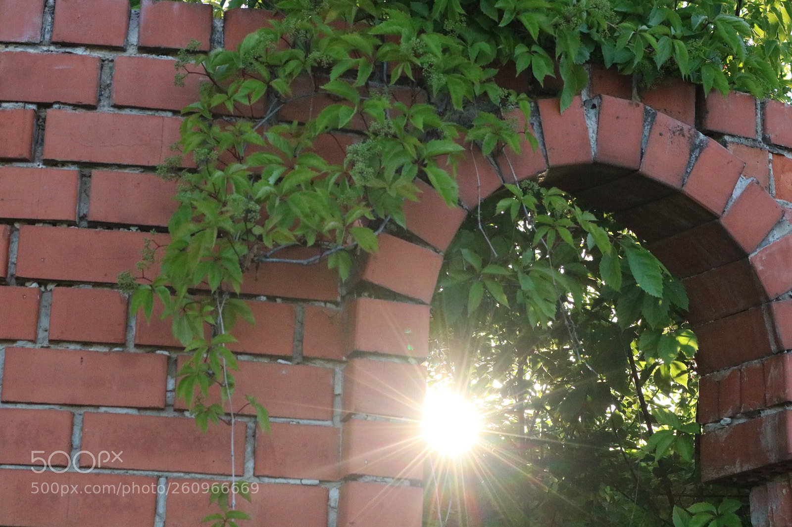 Canon EOS 750D (EOS Rebel T6i / EOS Kiss X8i) sample photo. Abandoned house photography