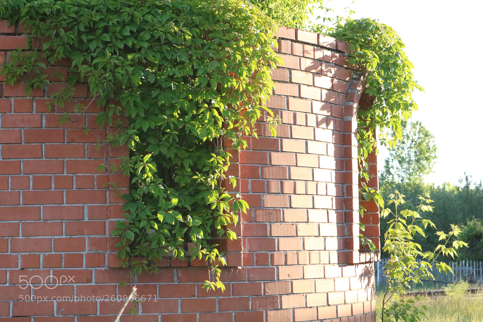 Canon EOS 750D (EOS Rebel T6i / EOS Kiss X8i) sample photo. Abandoned house photography