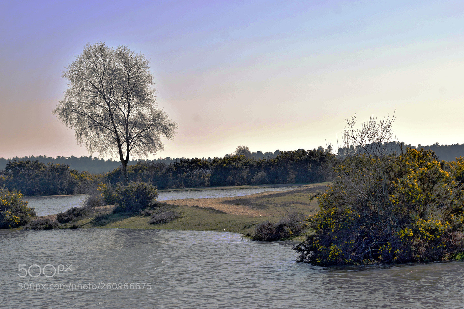 Nikon D3300 sample photo. Untitled photography