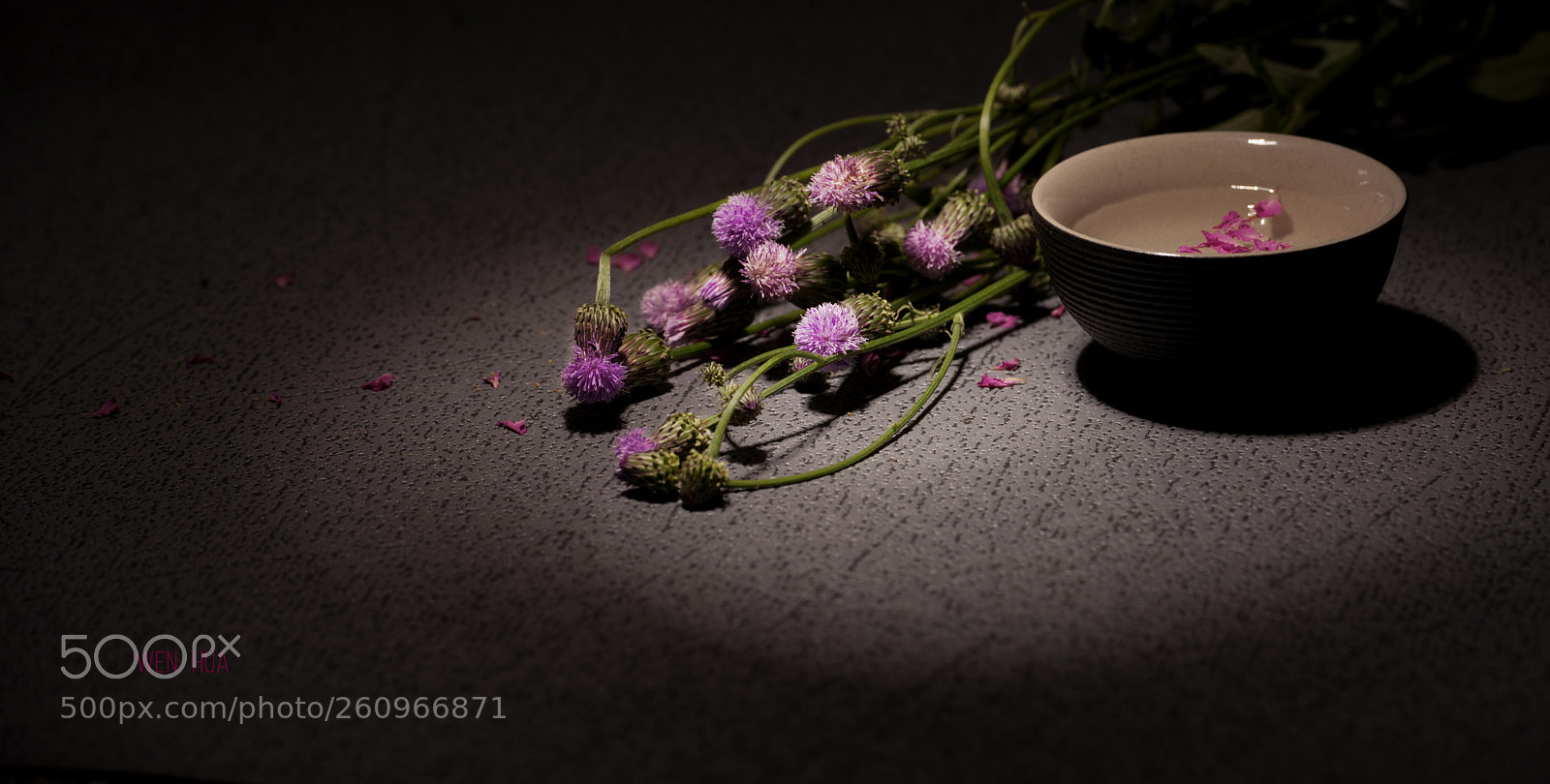 Nikon D700 sample photo. 问花 photography