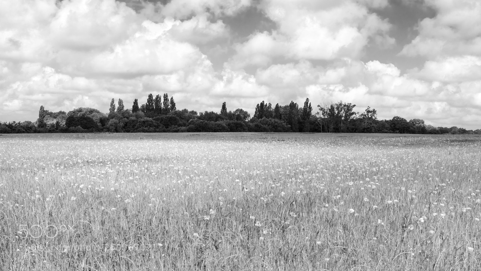 Nikon D500 sample photo. Belle campagne photography