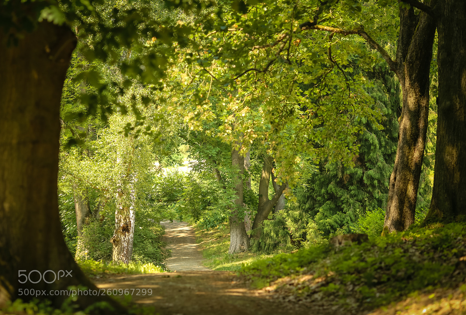 Canon EOS 6D sample photo. Tunnel photography