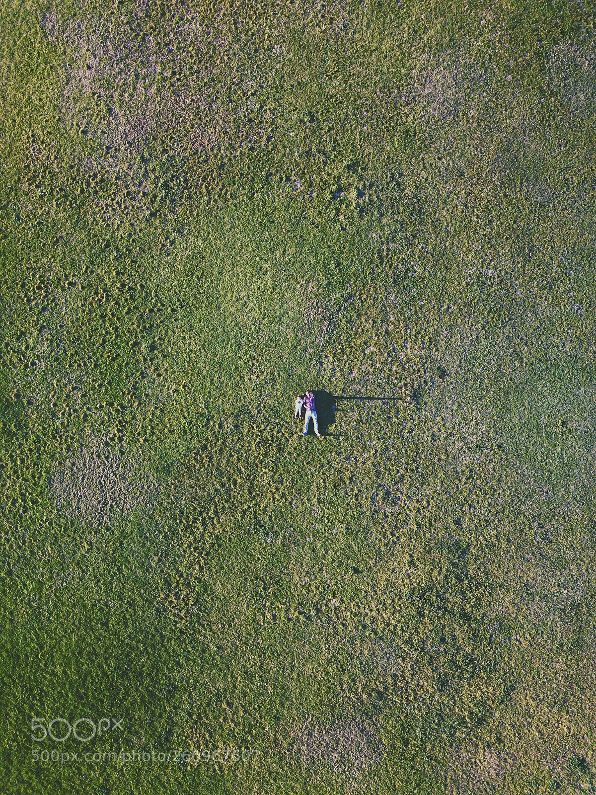 DJI FC220 sample photo. Recognize enjoy all the photography