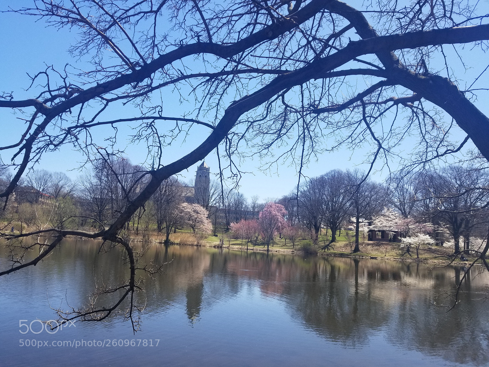 Samsung Galaxy S8+ sample photo. 20180422_121427.jpg photography