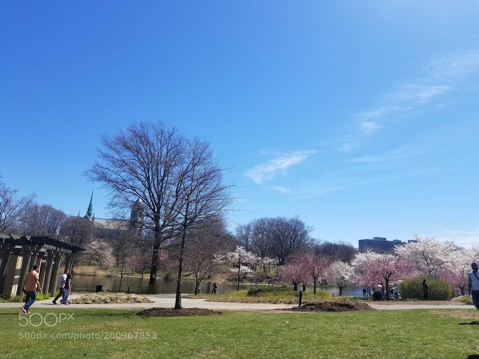 Samsung Galaxy S8+ sample photo. 20180422_131151.jpg photography