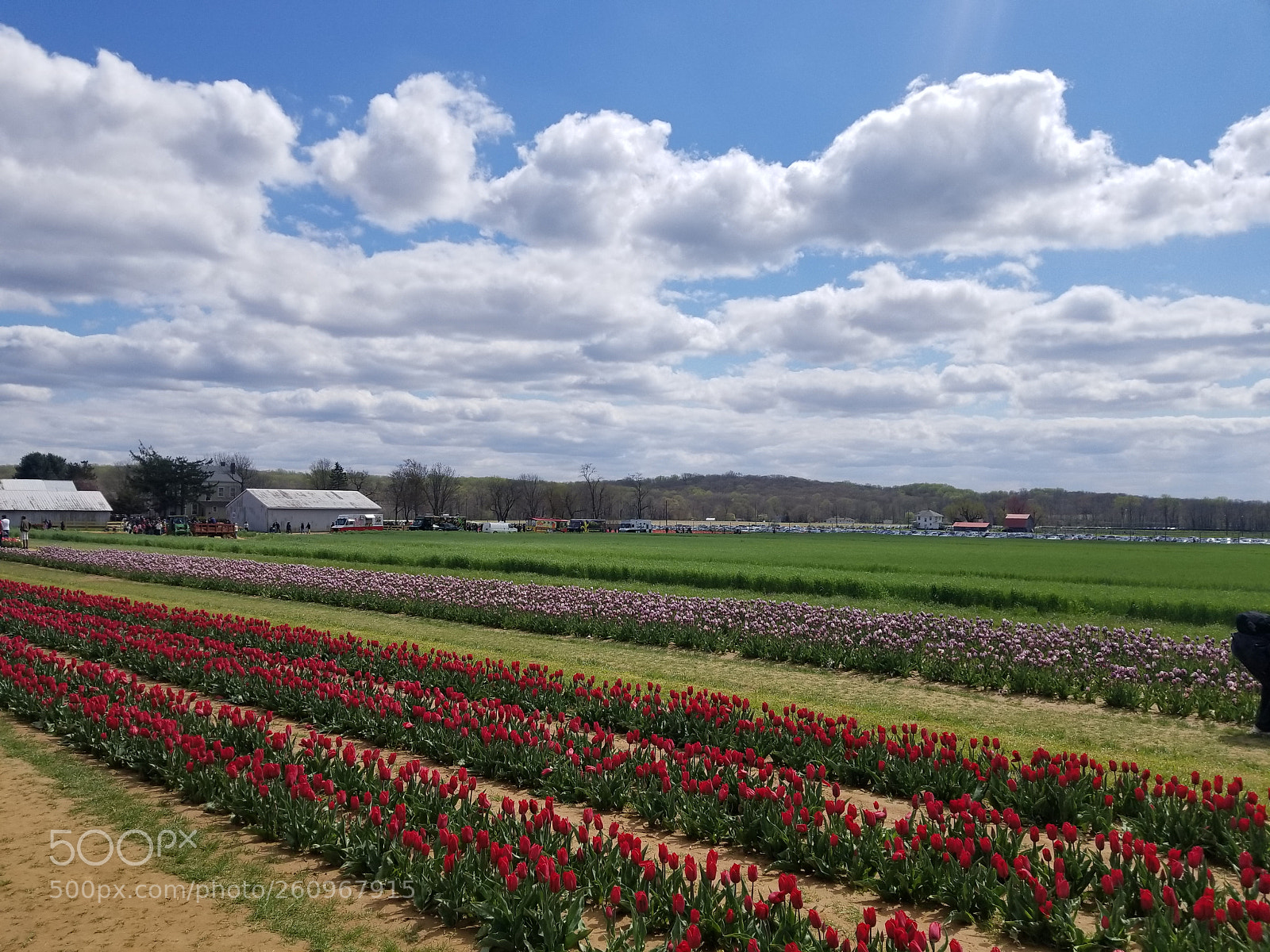 Samsung Galaxy S8+ sample photo. 20180429_143815.jpg photography
