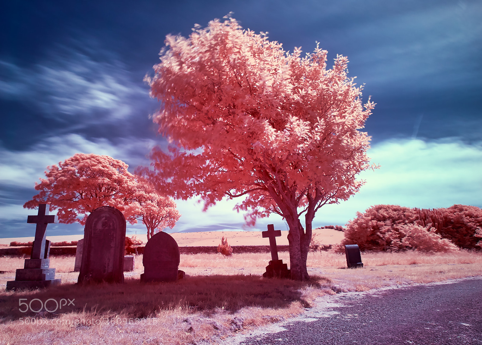 Nikon D200 sample photo. Maryport cemetry infared 720nm photography