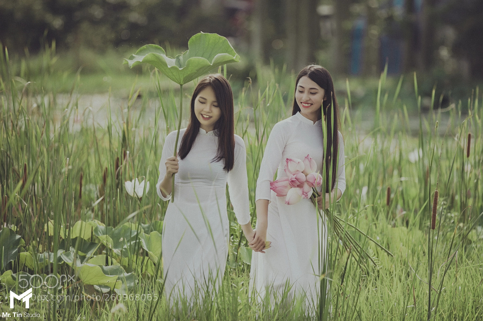 Canon EOS-1D X sample photo. Lotus photography