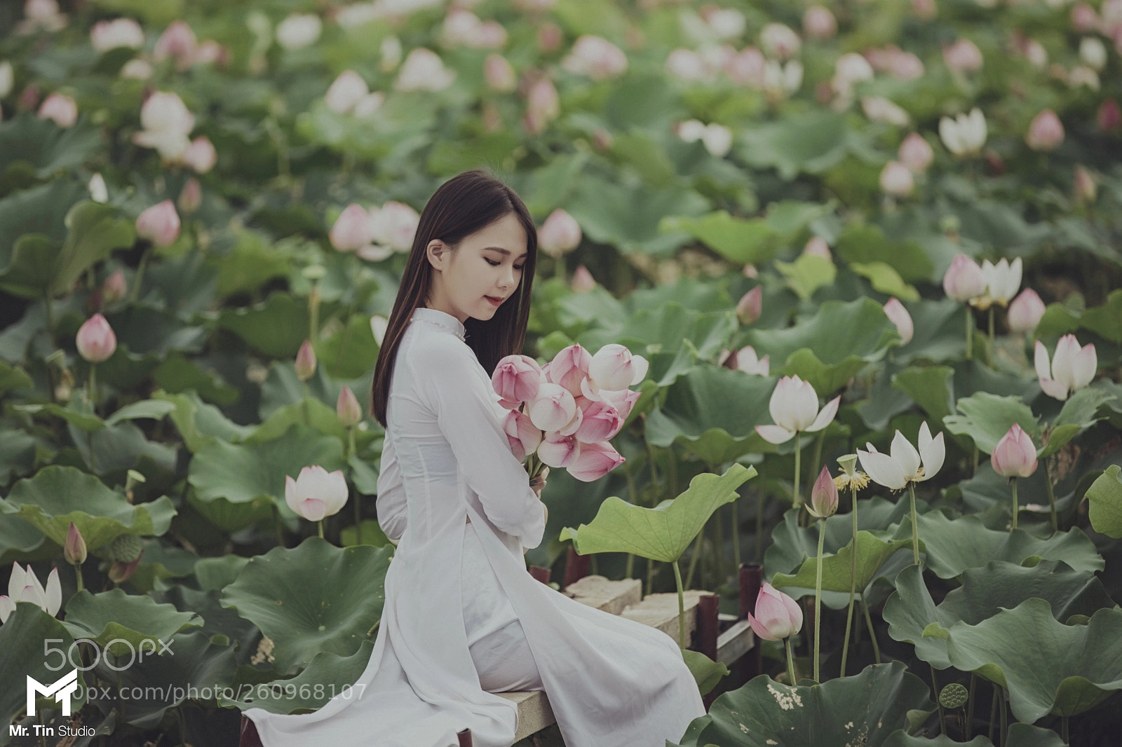 Canon EOS-1D X sample photo. Lotus photography