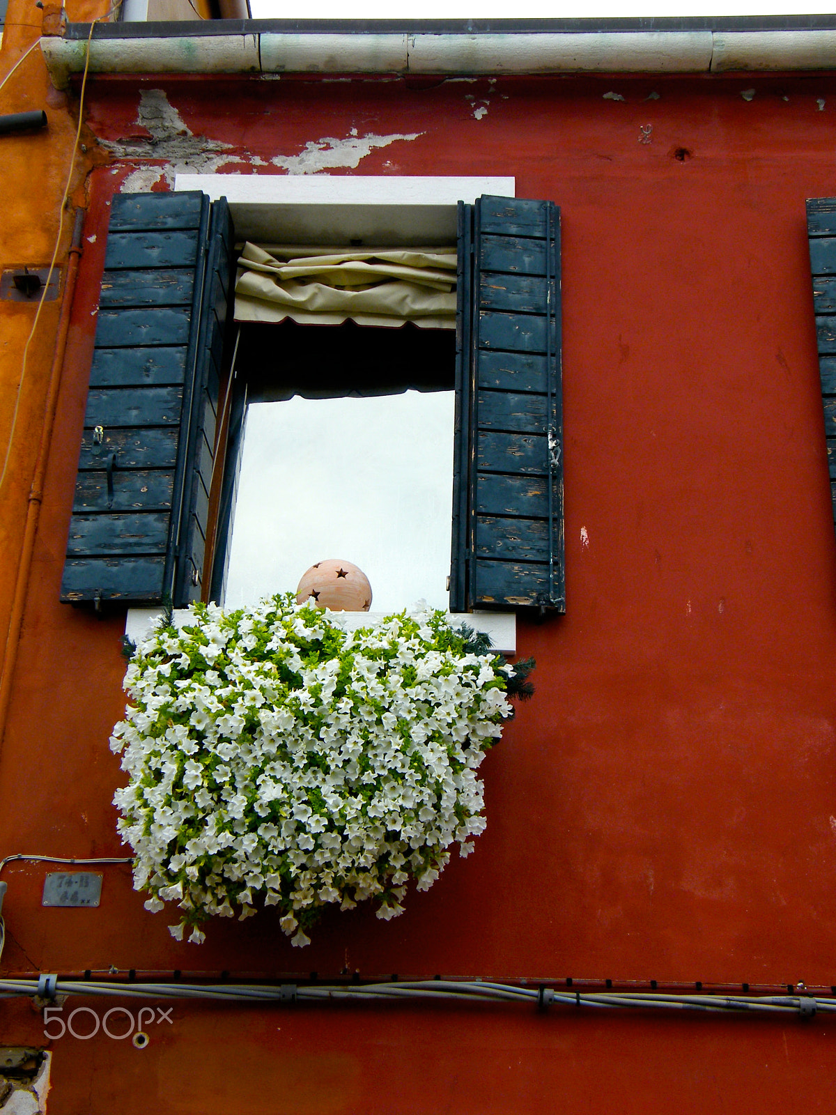 Fujifilm FinePix S8000fd sample photo. Windows with flowers - venice photography