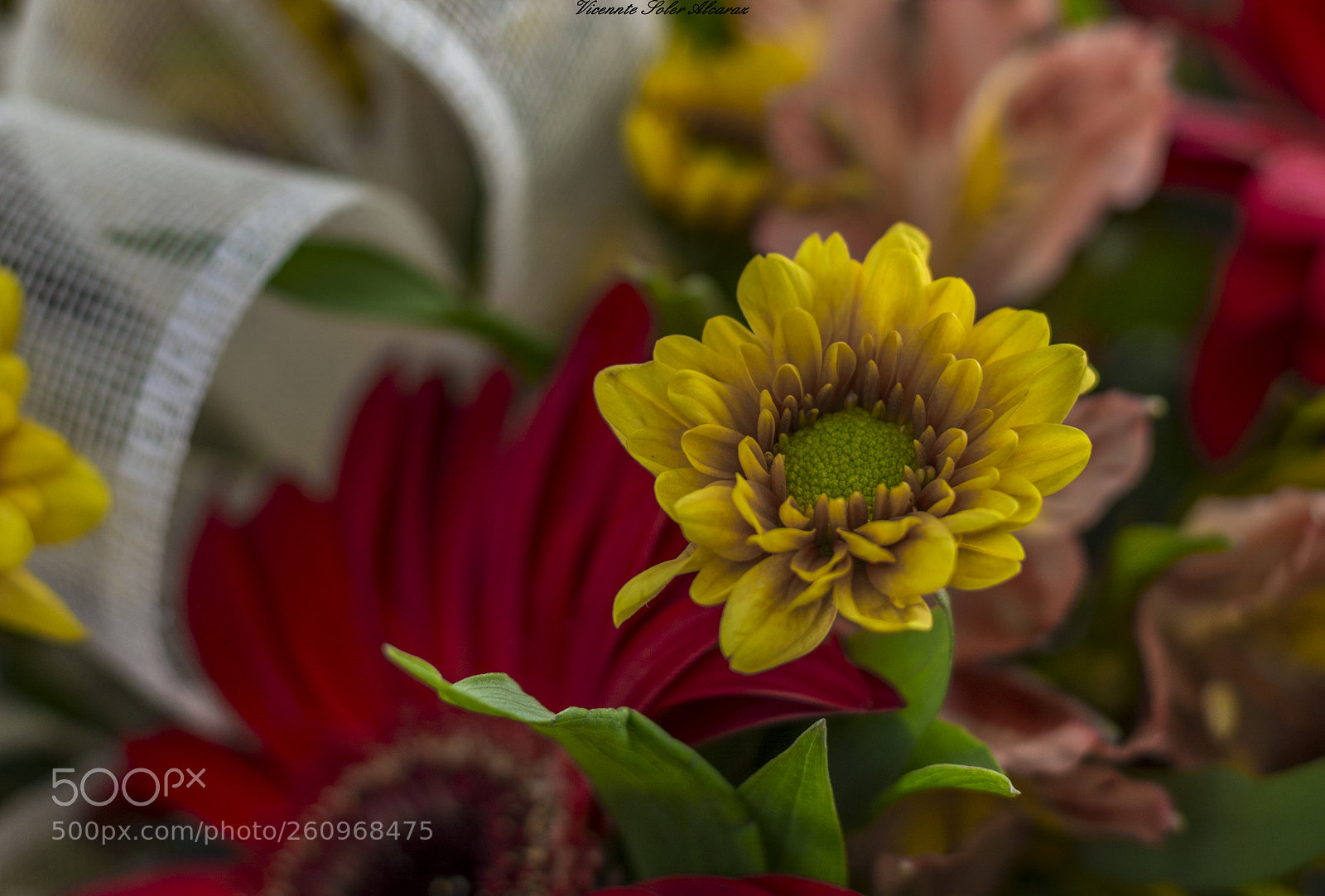 Nikon D5200 sample photo. Untitled photography