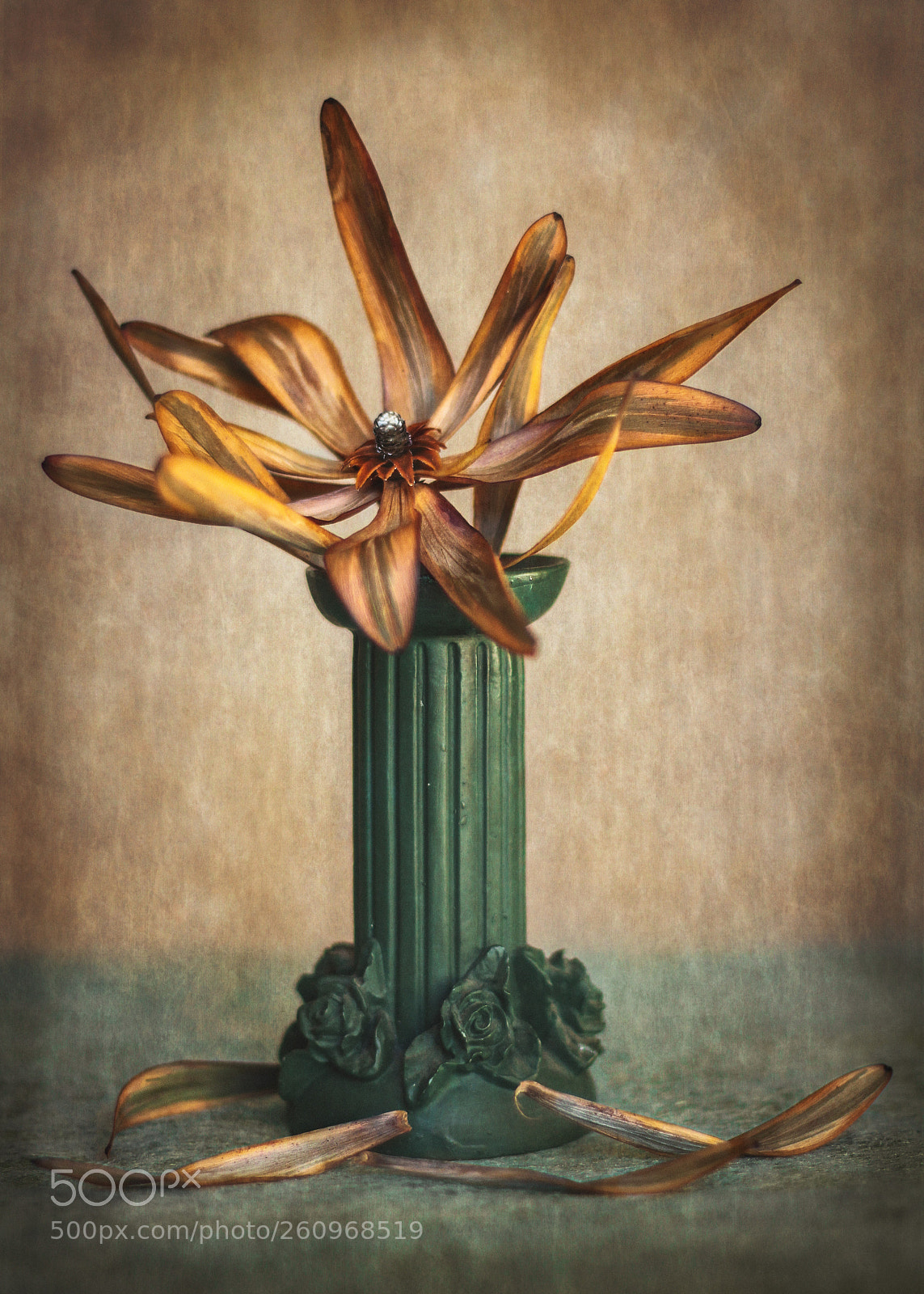 Canon EOS 7D sample photo. Still life. photography