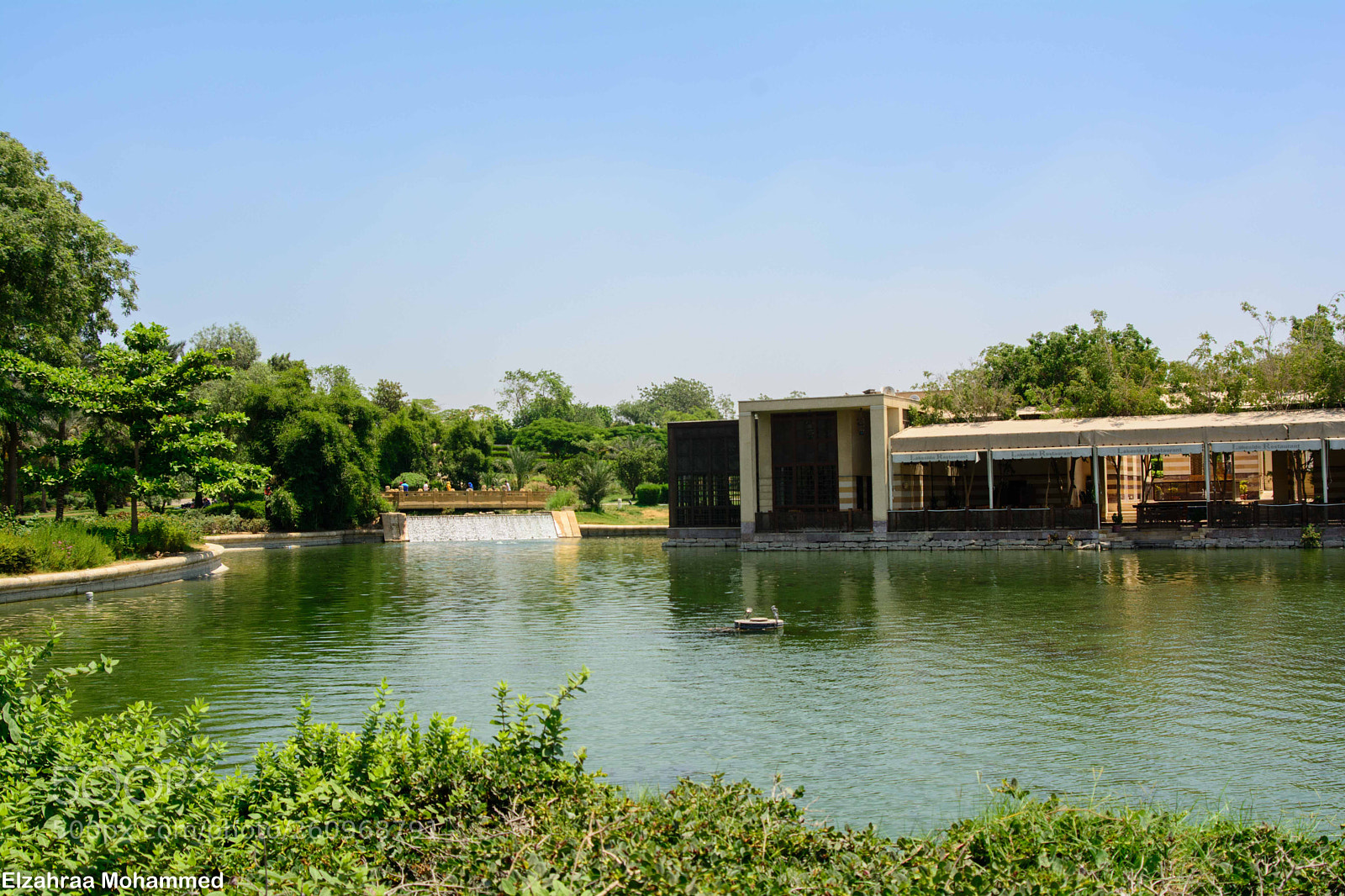 Nikon D7100 sample photo. Al-azhar park photography