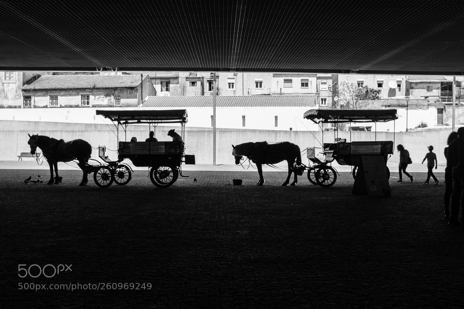 Fujifilm X100F sample photo. Horses photography