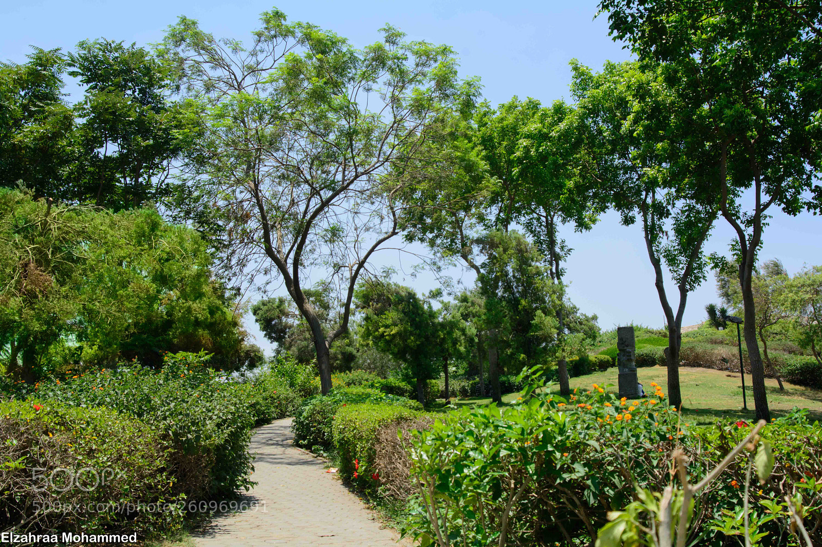 Nikon D7100 sample photo. Al-azhar park photography