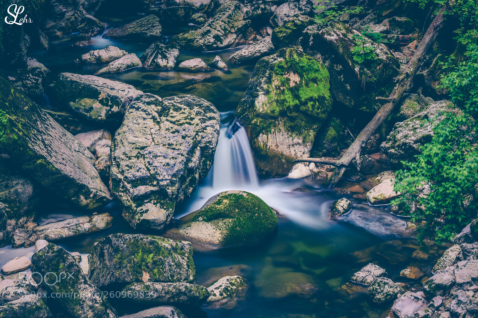 Nikon D7200 sample photo. Untitled photography