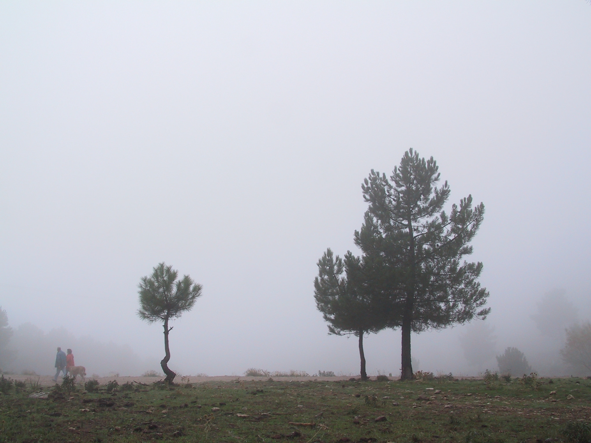 Canon POWERSHOT G1 sample photo. Niebla 08 photography