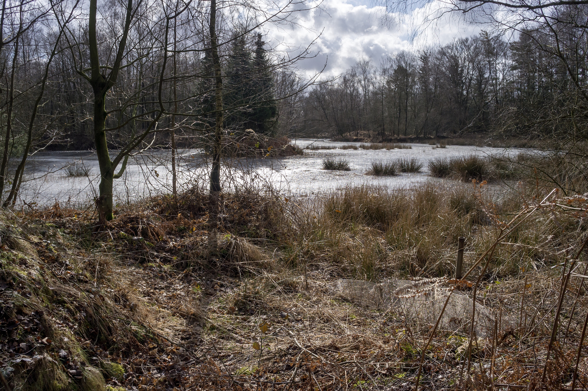 Ricoh GXR A12 sample photo. Winter landscape photography