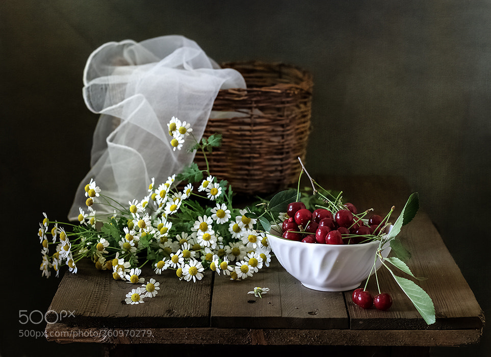 Canon EOS 80D sample photo. С вишней photography