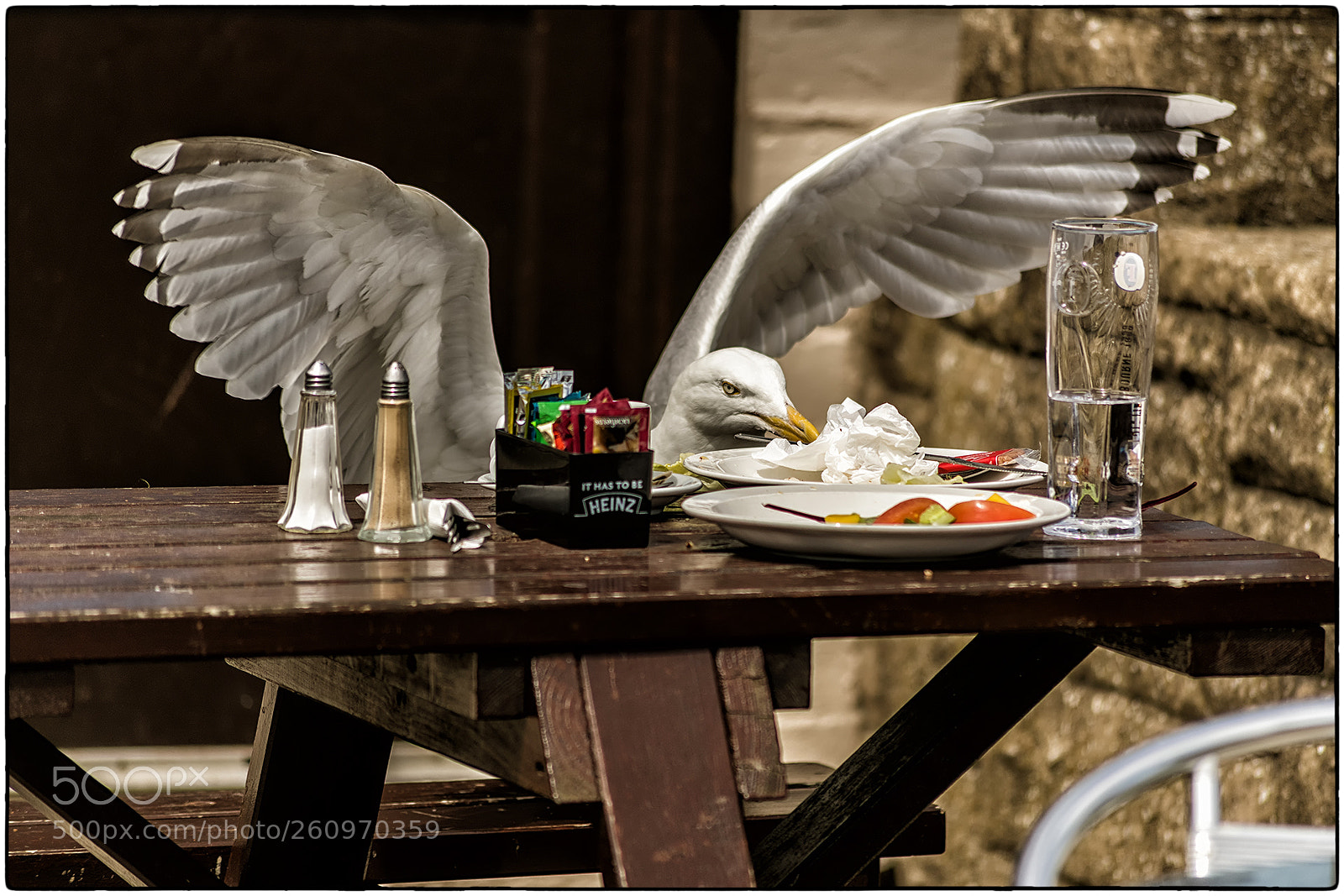Nikon D850 sample photo. Could i have the photography