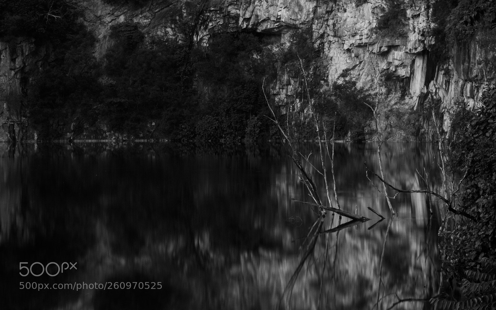 Nikon D3300 sample photo. Bleak branches photography