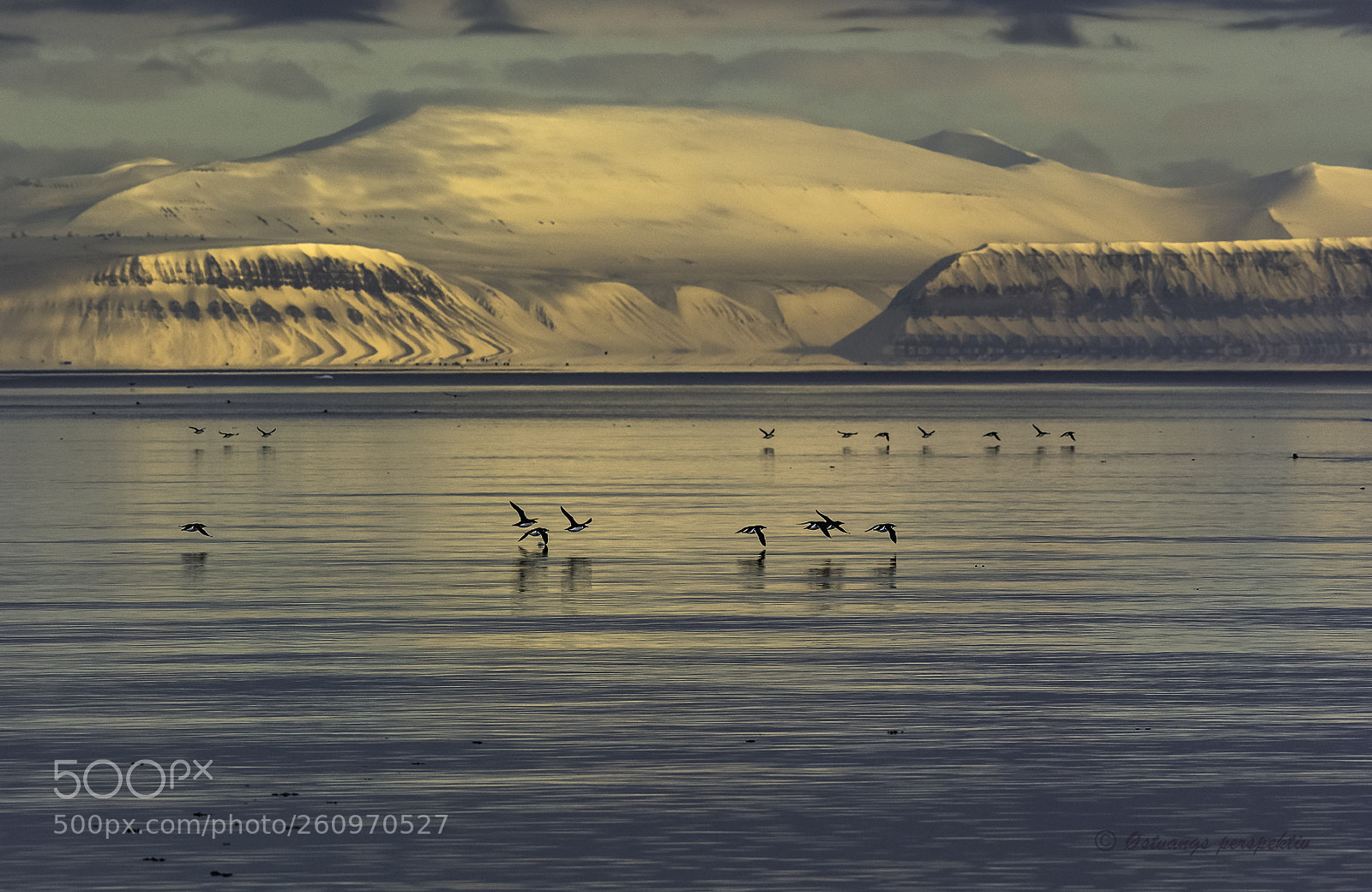 Canon EOS-1D X sample photo. Artic landscape polarlomvi isfjorden photography