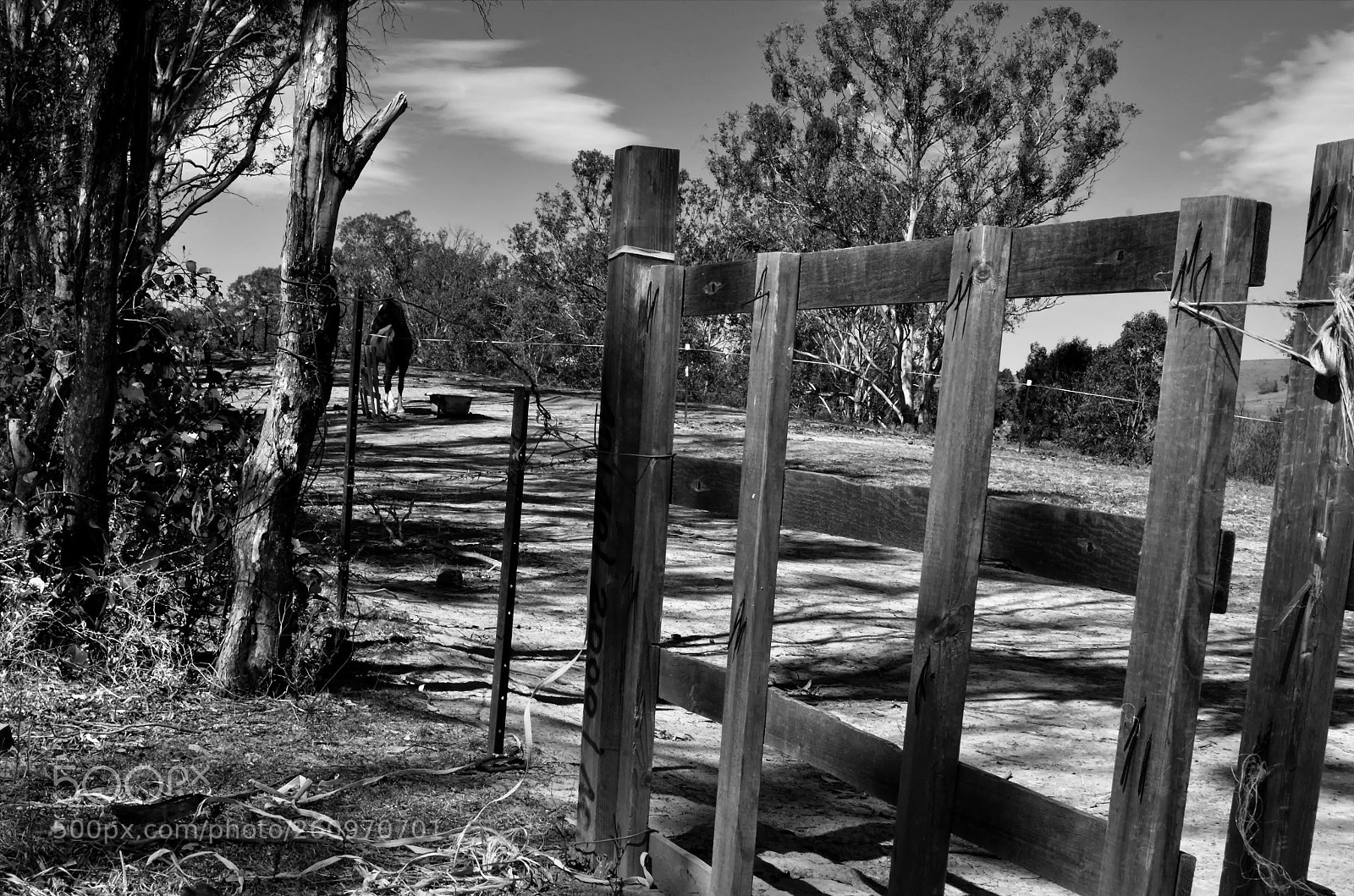 Nikon D7000 sample photo. Country horse track with photography