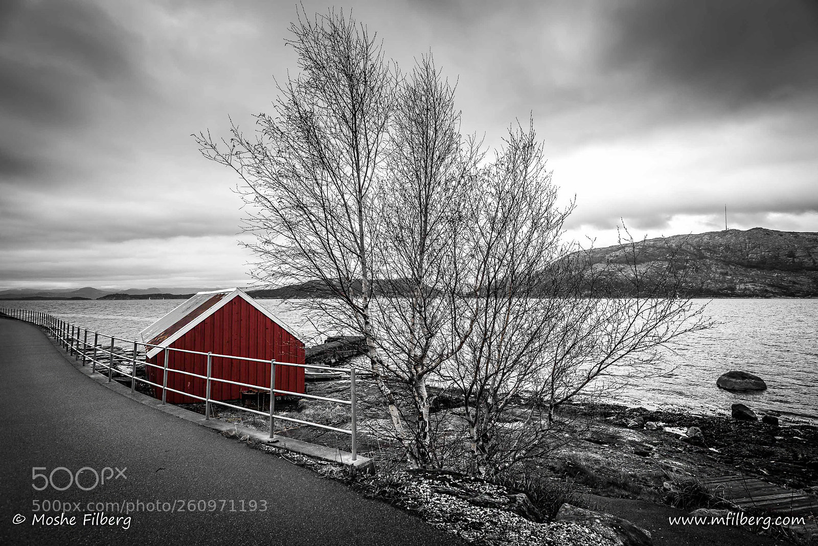 Nikon D810 sample photo. Just red photography