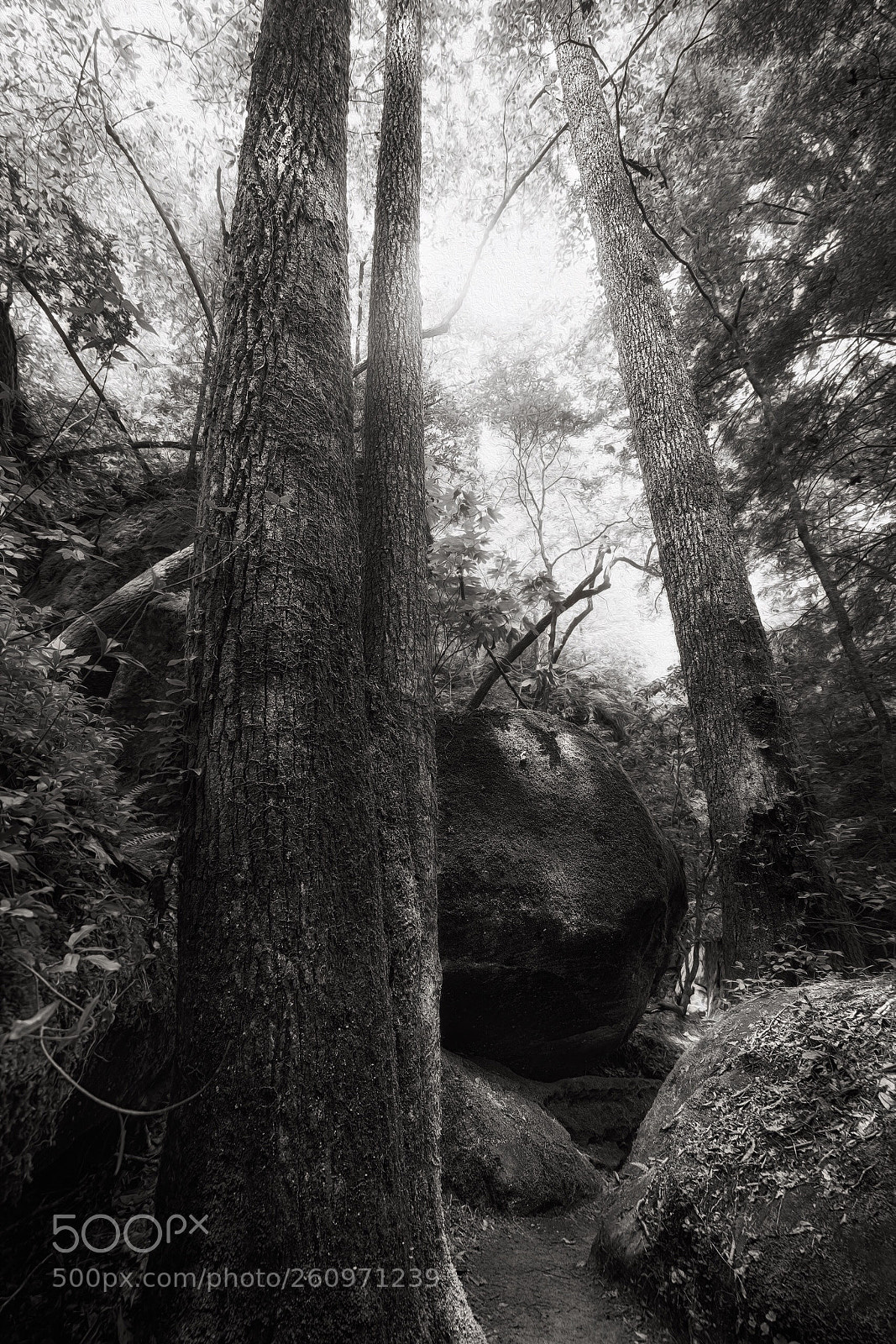 Fujifilm X-T2 sample photo. Dismal’s canyon alabama photography