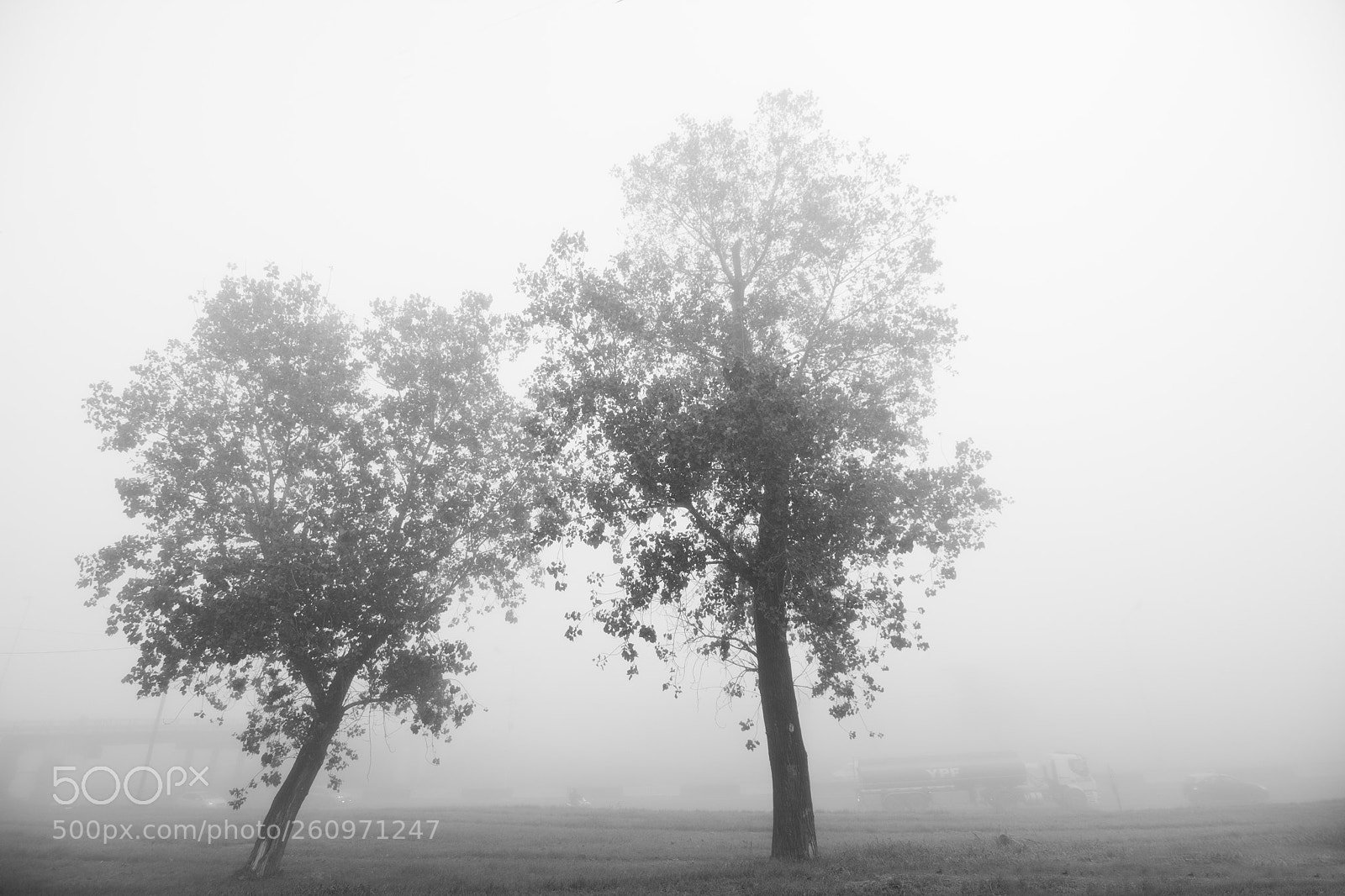 Nikon D7200 sample photo. Niebla (fog) photography