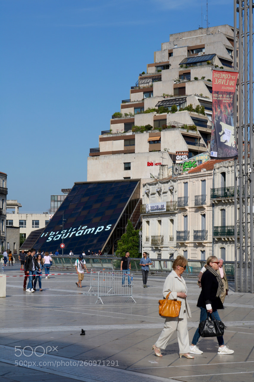 Canon EOS 750D (EOS Rebel T6i / EOS Kiss X8i) sample photo. French walk photography