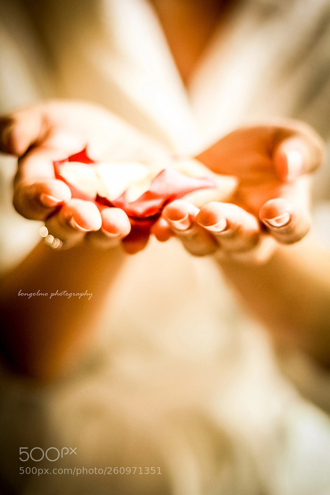 Canon EOS 60D sample photo. Untitled photography