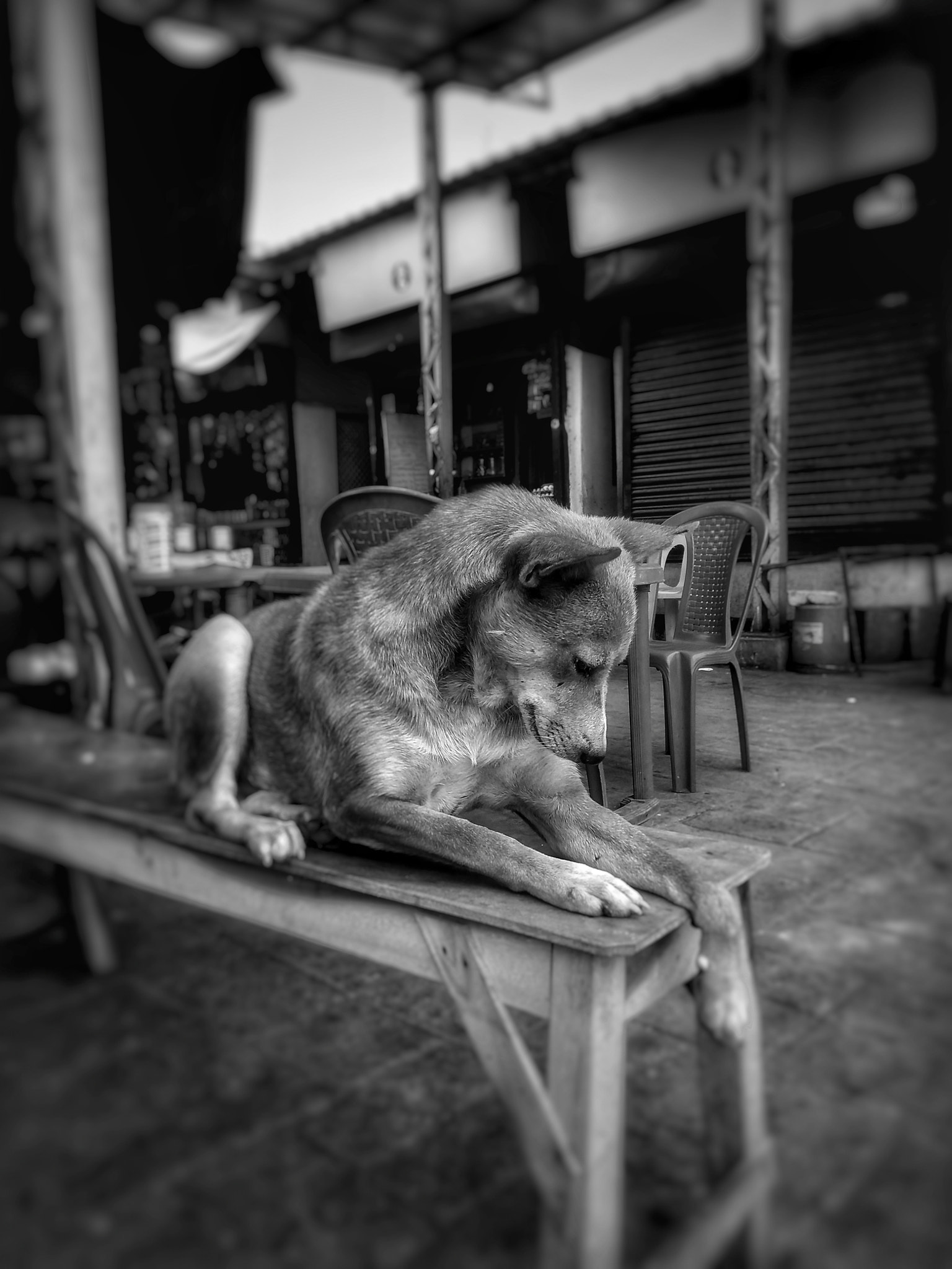 Motorola Moto G (5S) Plus sample photo