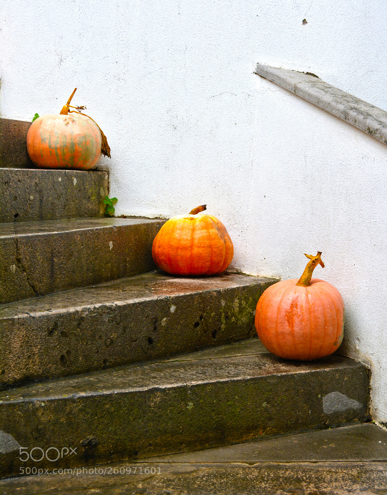 Nikon D5200 sample photo. Pumpkins photography