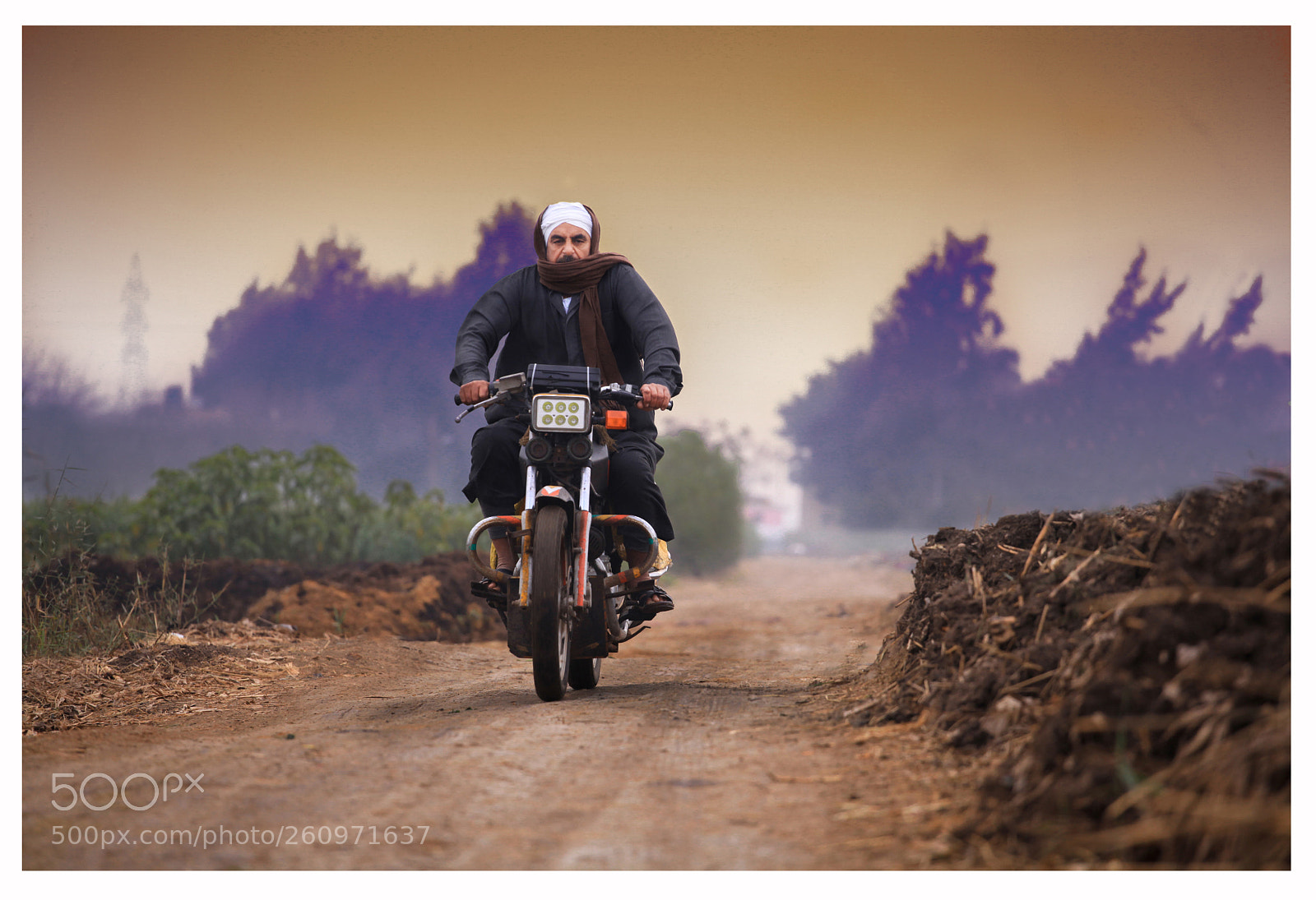 Canon EOS 5D Mark II sample photo. Untitled photography