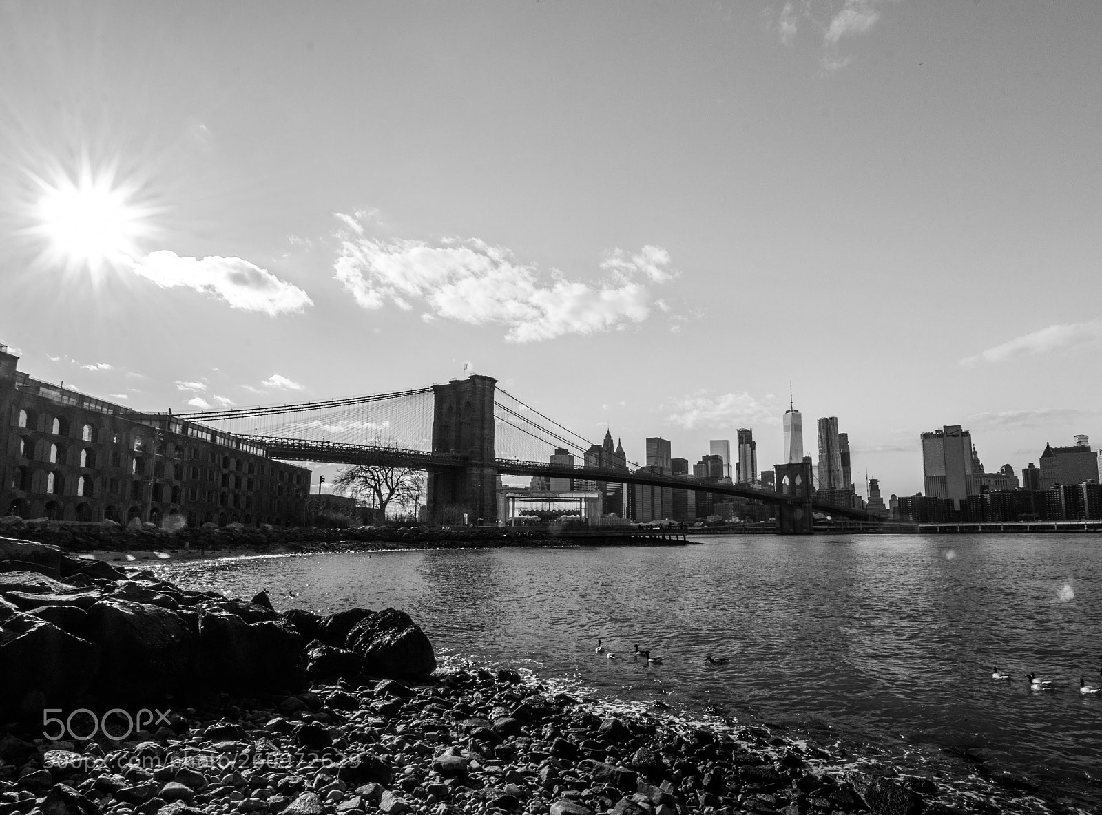 Canon EOS 70D sample photo. Coastal b&w photography