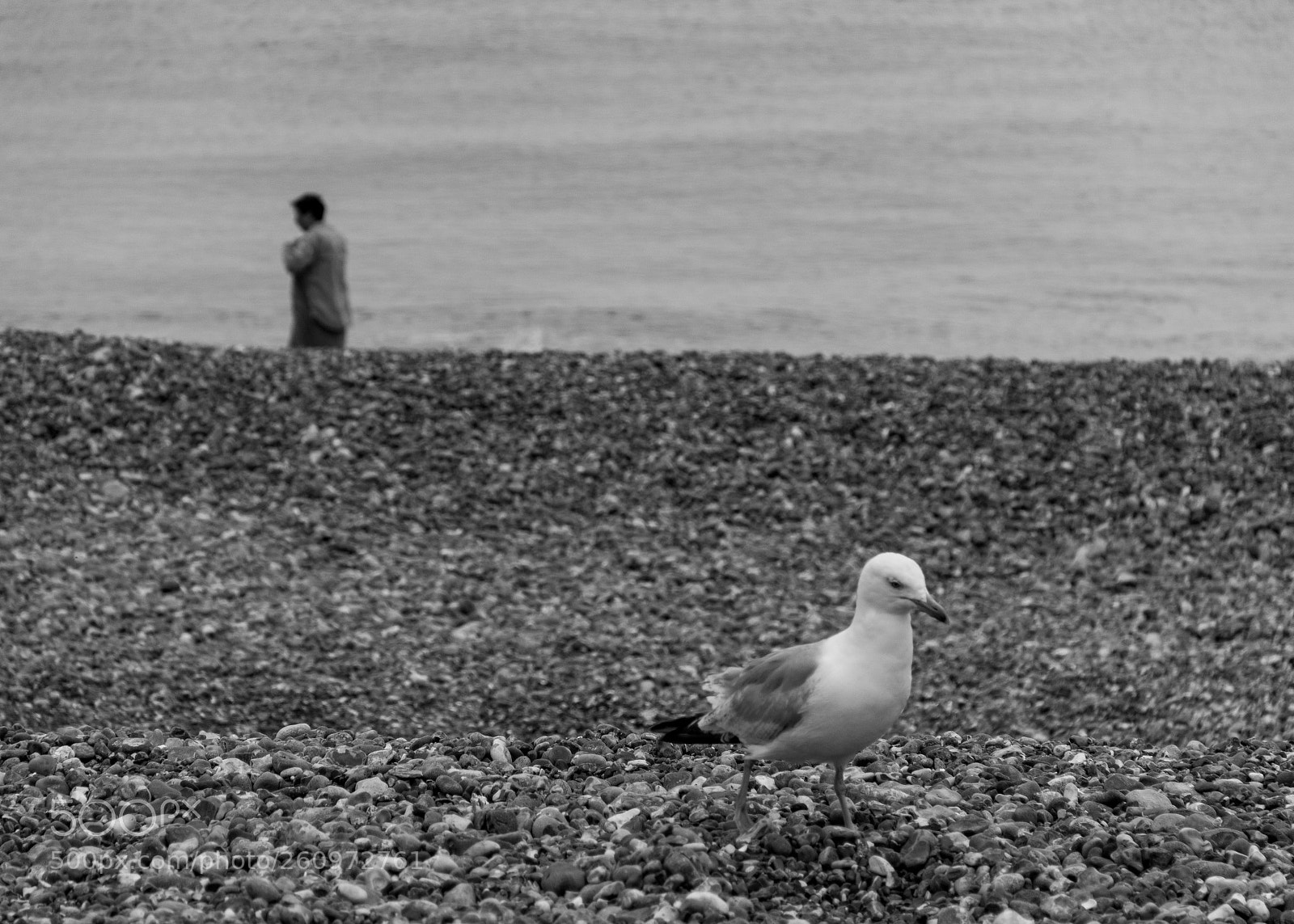 Canon EOS 70D sample photo. Coastal b&w photography