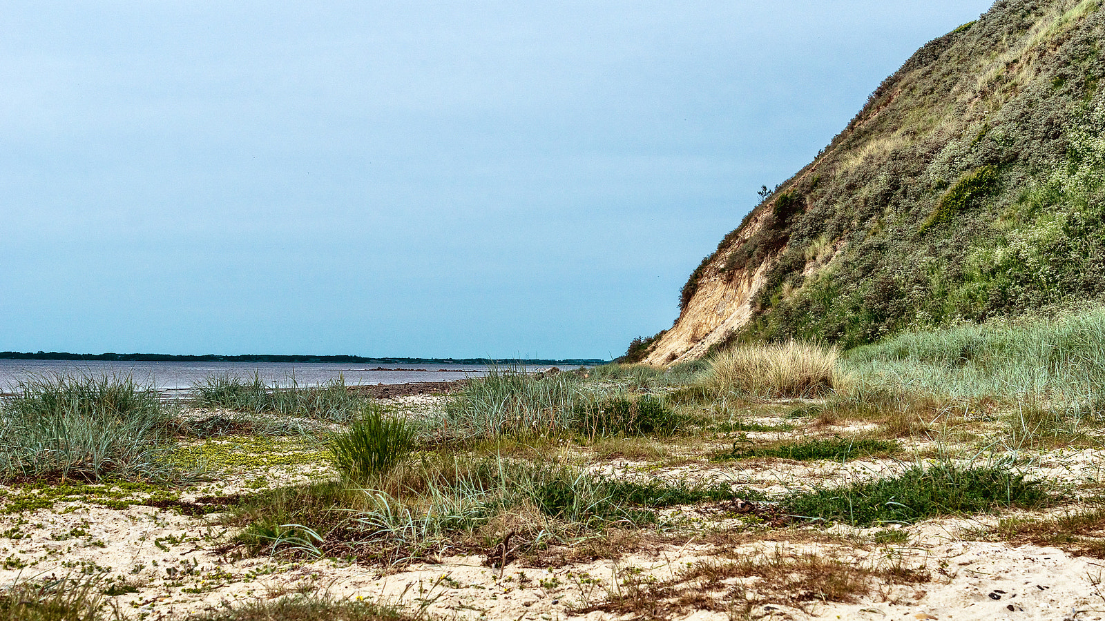Sony ILCA-77M2 sample photo. Ulbjerg cliff shoreline 1 photography