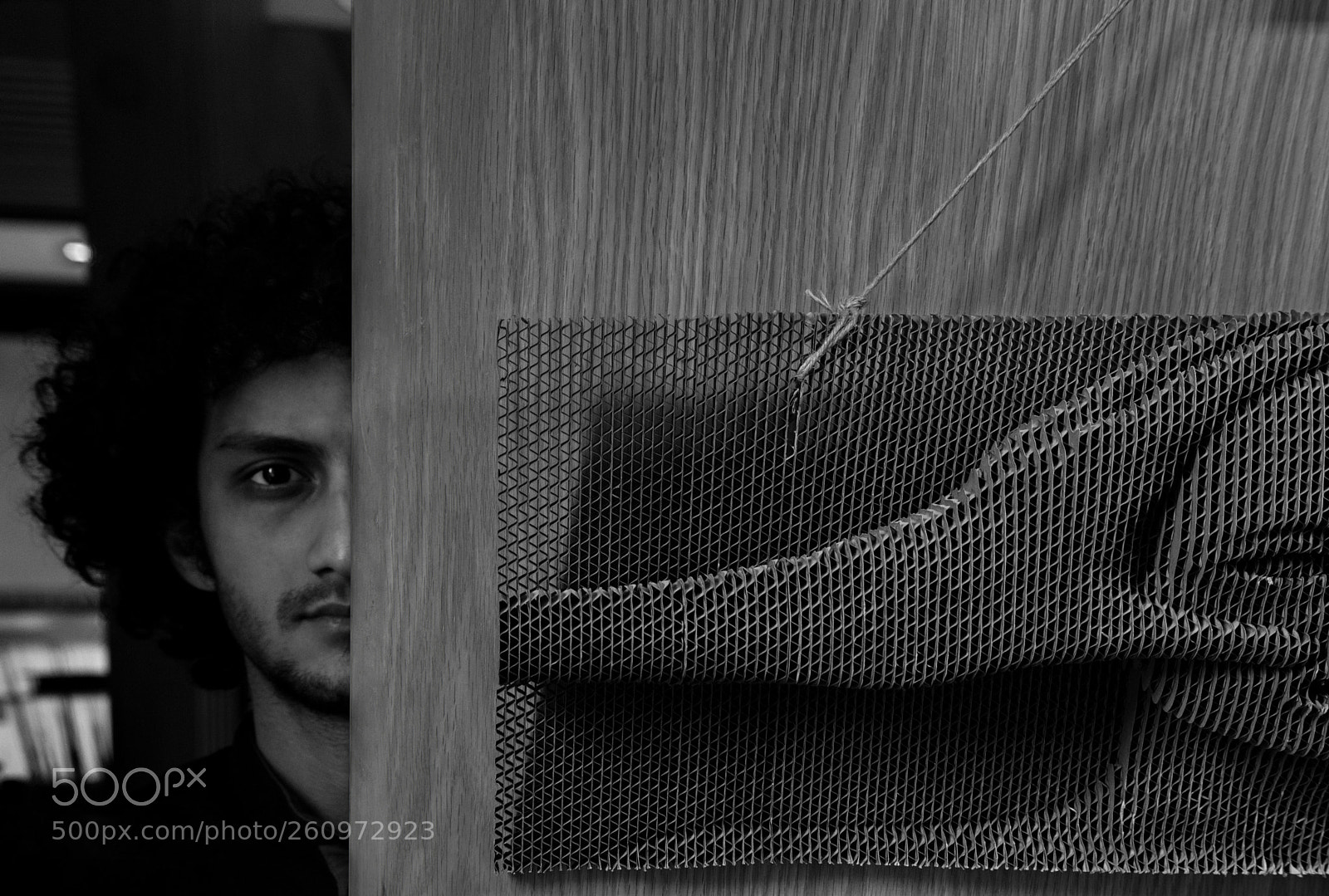 Nikon D7200 sample photo. Hidden half photography