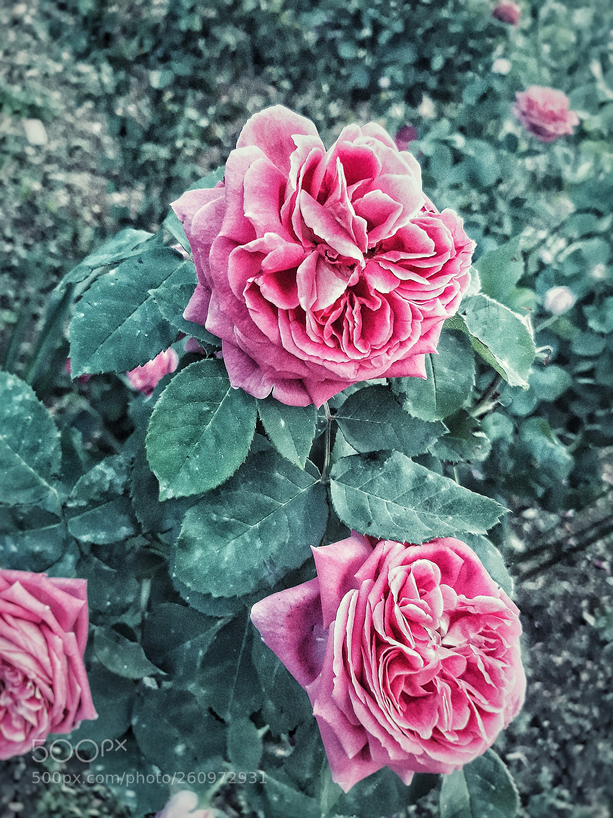 Samsung Galaxy J7 sample photo. And you start to photography