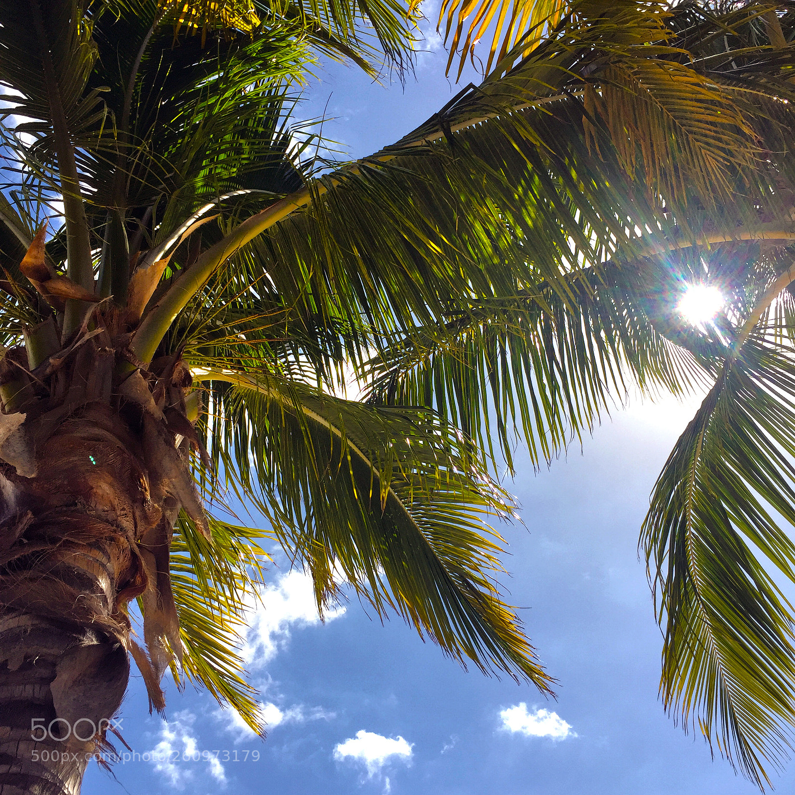 Apple iPhone 6 sample photo. Warmth photography