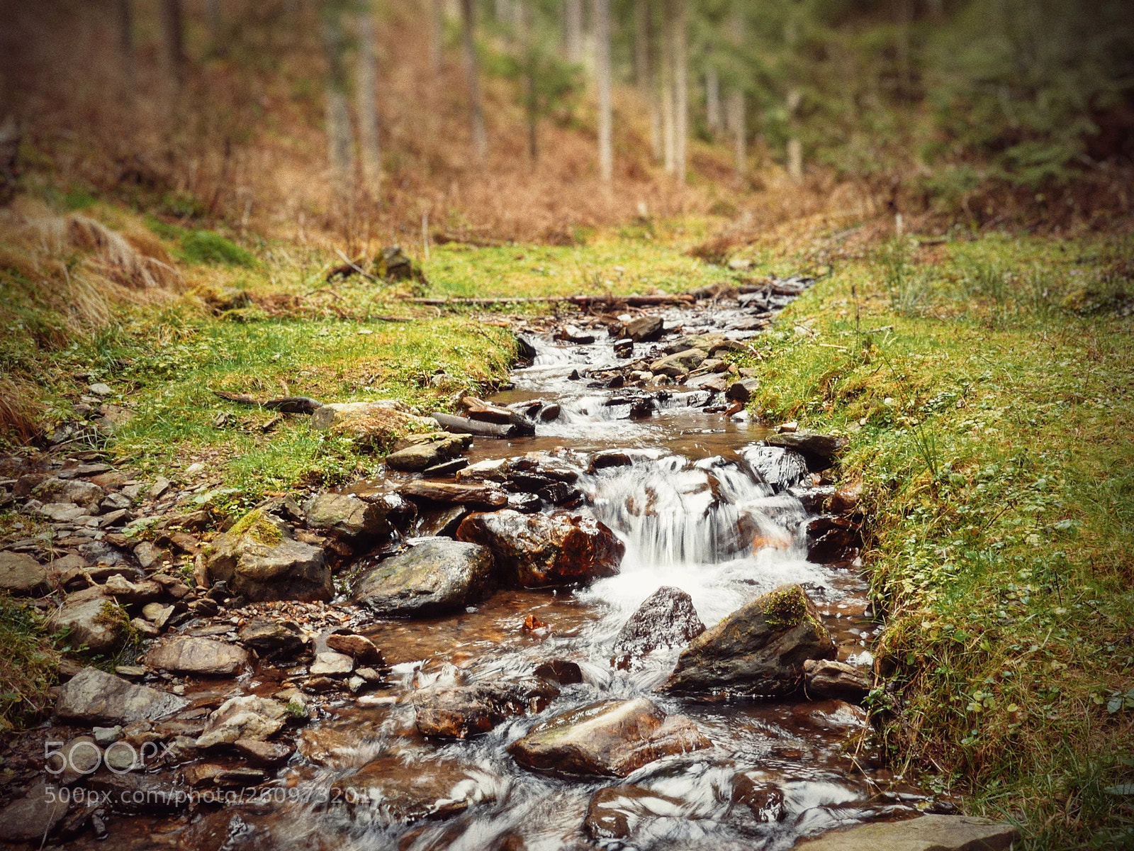 Panasonic Lumix DMC-FZ300 sample photo. Tarnita stream photography