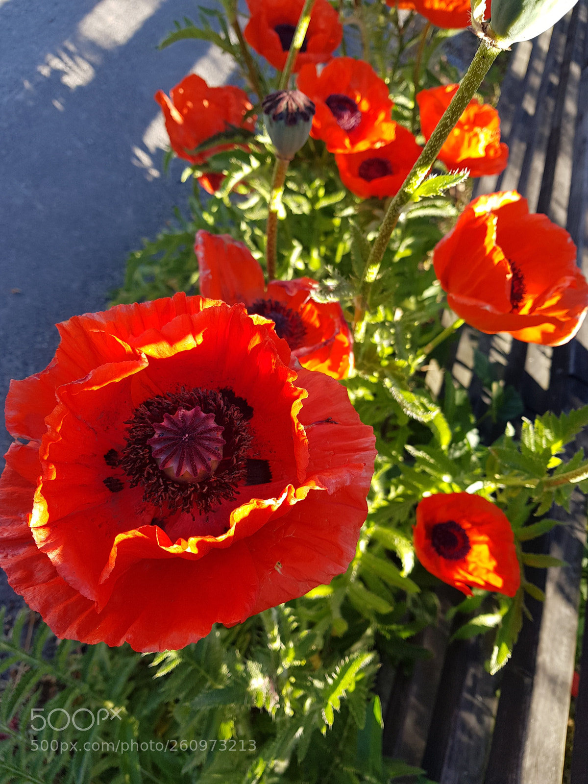 Samsung Galaxy S8 sample photo. Untitled photography