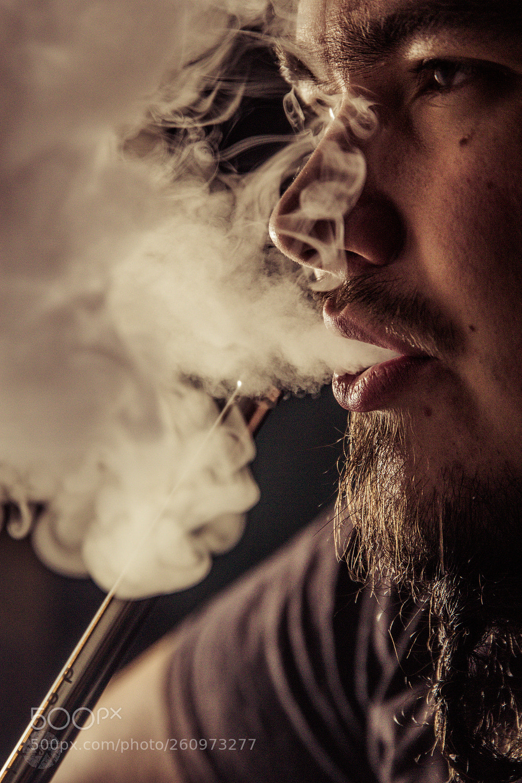 Canon EOS 60D sample photo. Just smoke photography