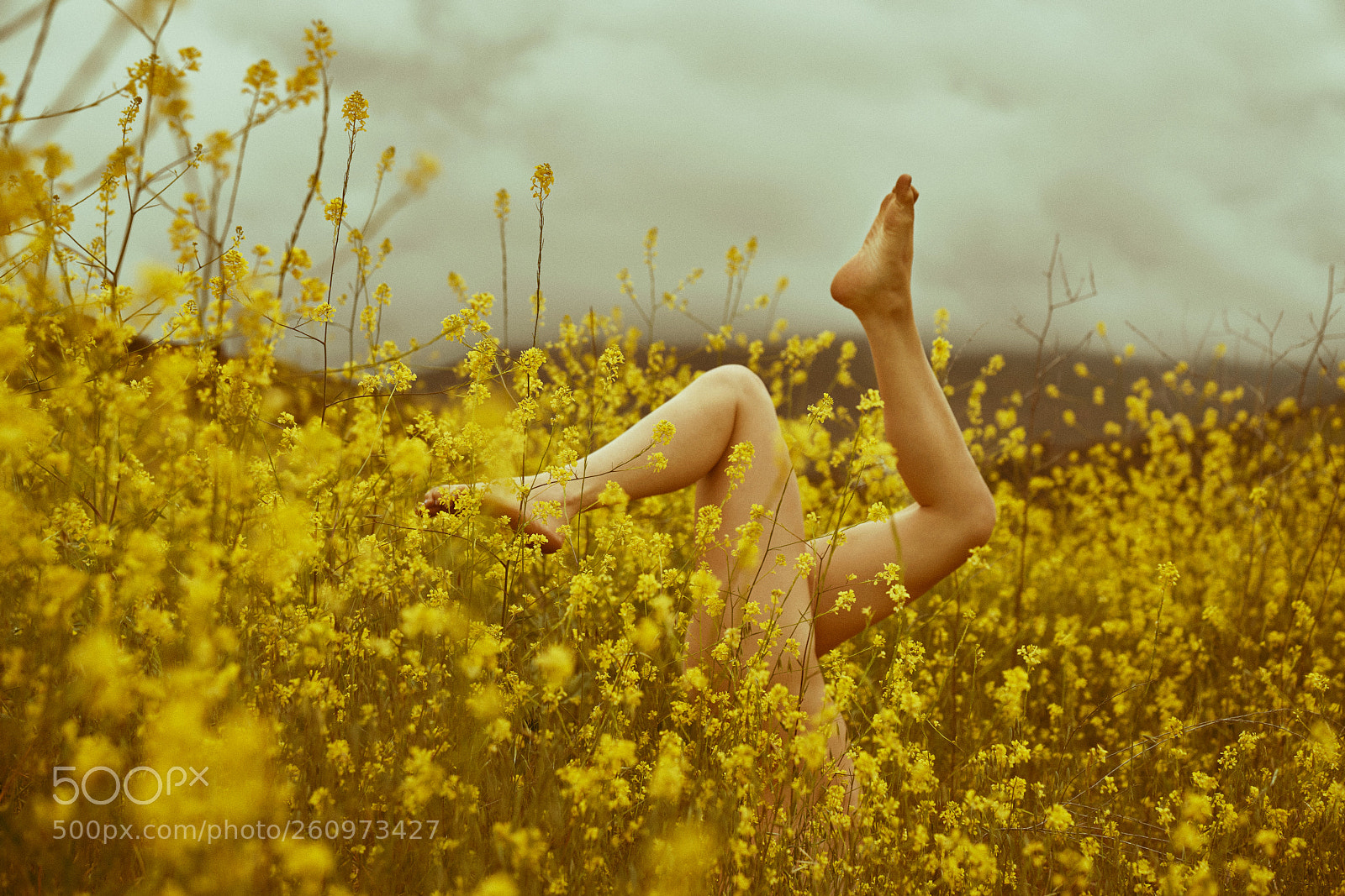 Sony a7R II sample photo. A self portrait, but photography