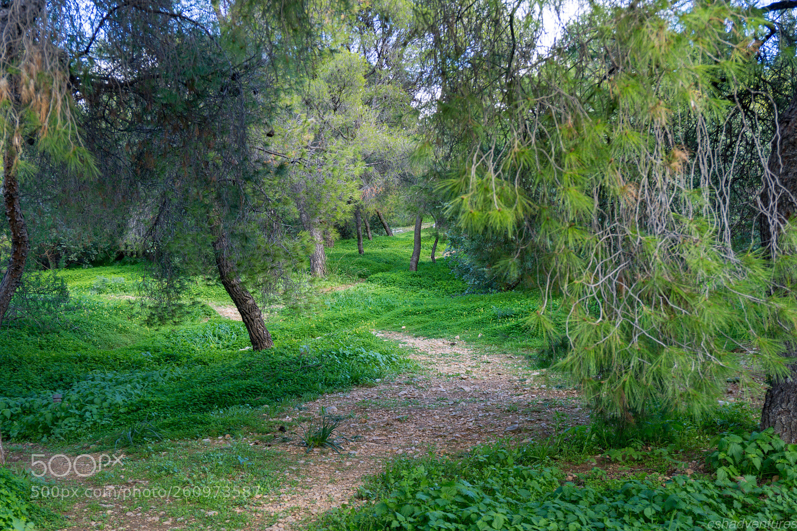 Sony a6000 sample photo. Athens photography